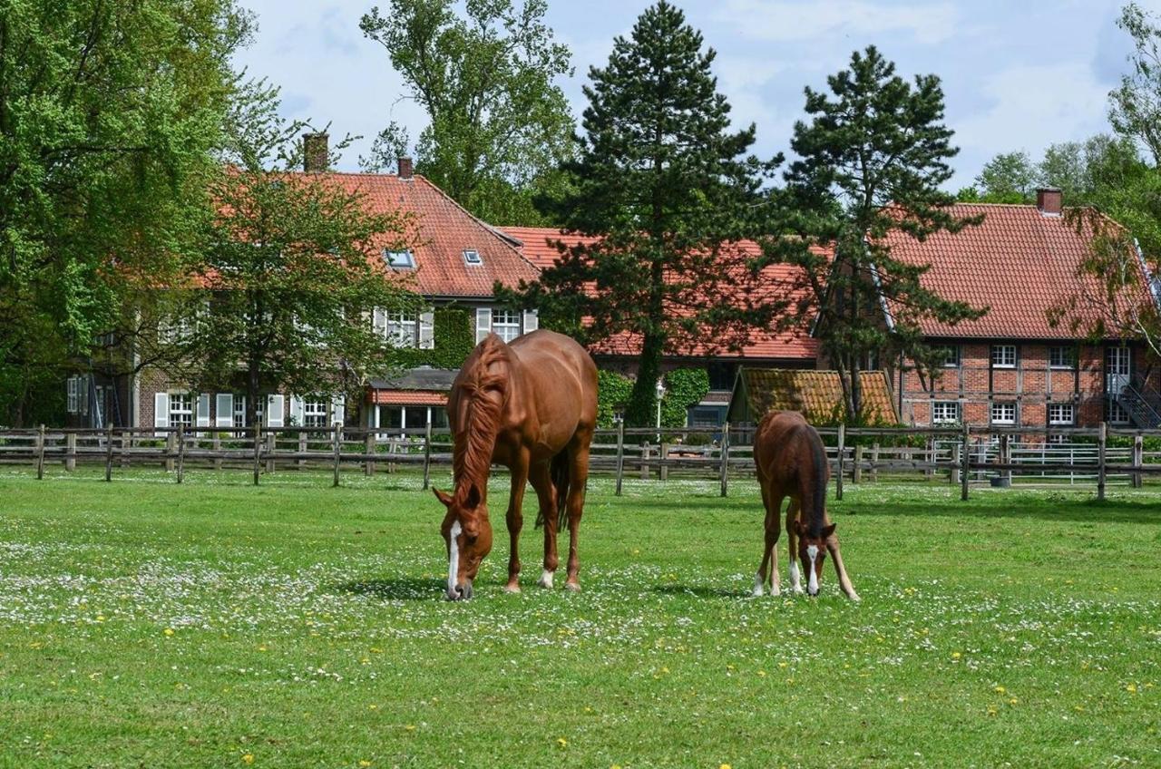 Ferienwohnungen Georgenbruch Everswinkel Esterno foto